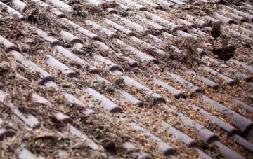 Sibdon Carwood roof cleaning companies