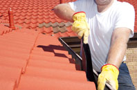 Sibdon Carwood roof cleaners